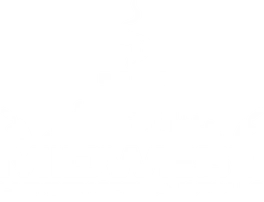 midwest chimney logo